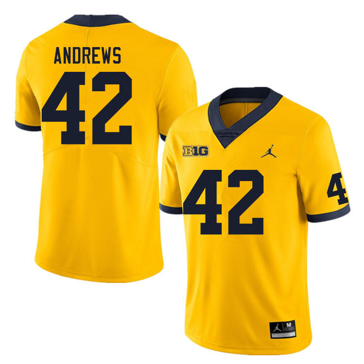 #42 Trevor Andrews College Men’s Michigan Wolverines Football Jersey Stitched