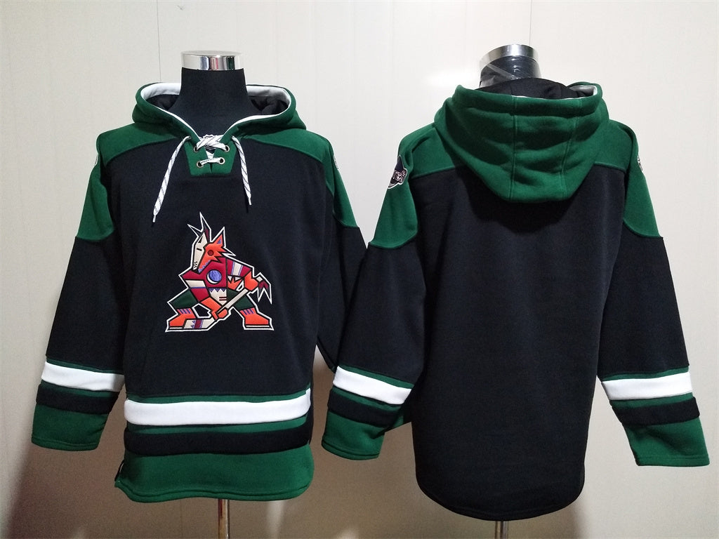 Arizona Coyotes Team Blank Pullover Hoodie