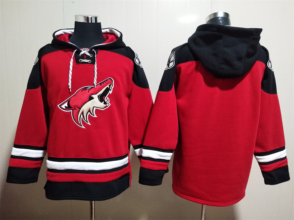 Arizona Coyotes Team Blank Pullover Hoodie Red