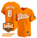 Dylan Dreiling Jersey #8 Tennessee Vols 2024 Champions Stitched Orange