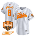 Dylan Dreiling Jersey #8 Tennessee Vols 2024 Champions Stitched Pinstripe