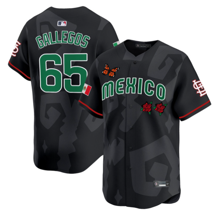 Gallegos Jersey #65 Mexican Heritage 2025 Sentrock Vapor Limited Stitched
