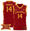 Jeff Hornacek Jersey #14 Iowa State 2024 Lightweight Basketball Cardinal