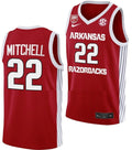 Makhel Mitchell Jersey Arkansas Razorbacks College Basketball 100 Season #22
