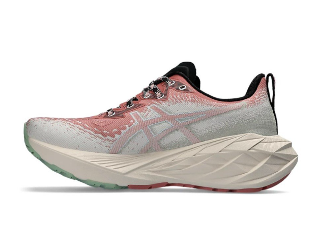 Asics Novablast 4 TR Nature Bathing-Rose Rouge 1012B654-250