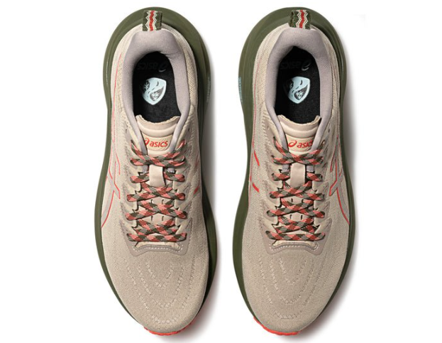 Asics GT-2000 13 TR Nature Bathing Beige Red 1011B954-300